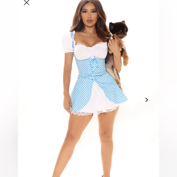 Dorothy Blue Gingham Dress costume - Picture 1 of 1